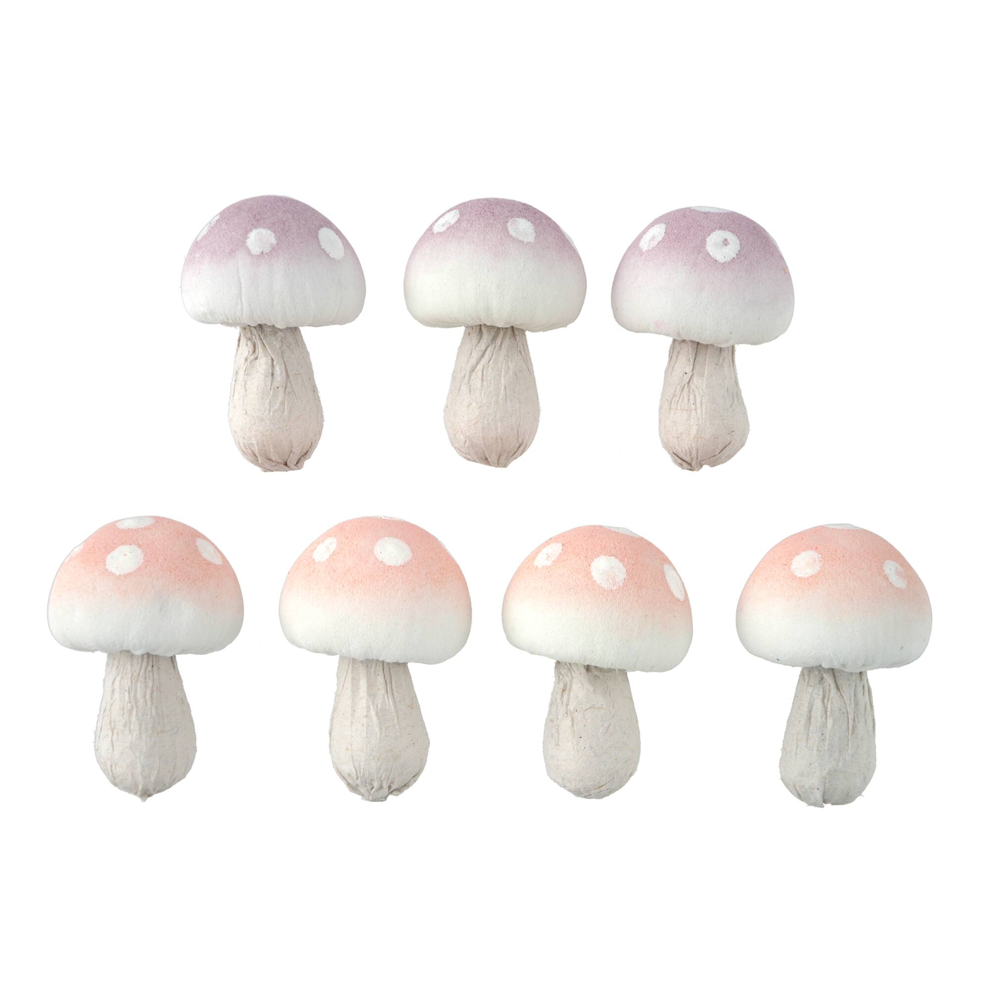 Pink & Purple Mixed Mushrooms